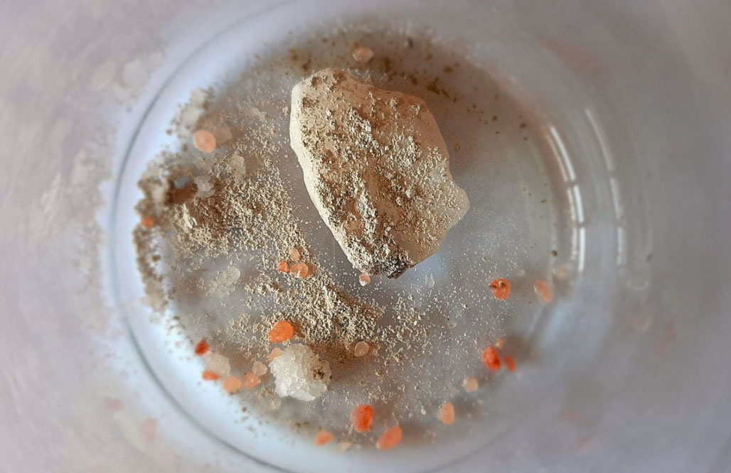 agua primitiva tierra diatomeas